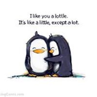 micky.schwarz.1 avatar