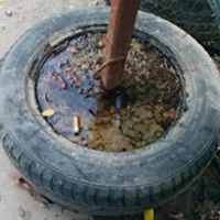 maria.karkalicheva avatar