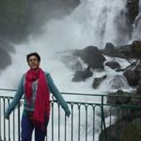 shily-bendror avatar