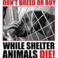 kathy-shoemaker-359 avatar