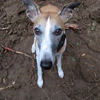 marlene-black-3386 avatar