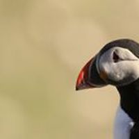 bob.bushell.9 avatar