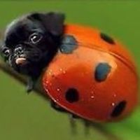 kiki-castro-13 avatar