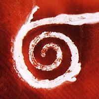 patrick-crowther-9 avatar