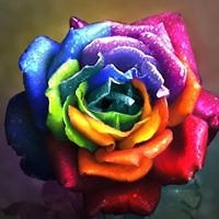 kristy.madden.99 avatar