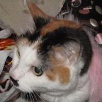 caroline.horne.56 avatar