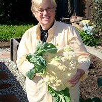 frances-wincek avatar