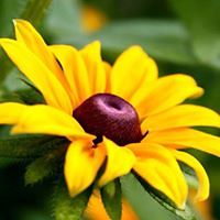 janie.hamel.9 avatar