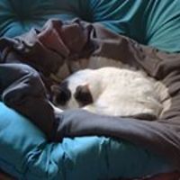 tracy-mcewen-18 avatar