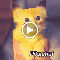 joelconceicao avatar