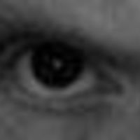 nick.ward.73594 avatar