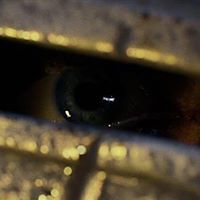 rafal.hermanowicz.3 avatar