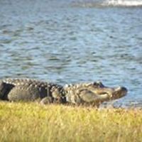 lorna.stone.528 avatar