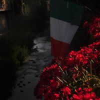 54209d61960e9 avatar