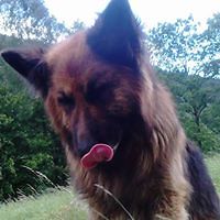 elisabeth.miesch avatar