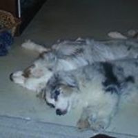 jolene.spencer.90 avatar