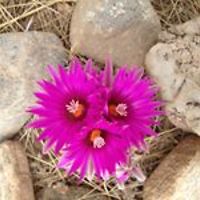 lindsy.jones.376 avatar