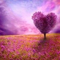 esther.marreewegman avatar