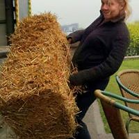 jolien.vandermaden avatar