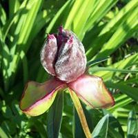 anneli.almquist avatar