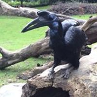 paulinamagdalenap avatar