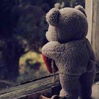 shawncromwell-1968 avatar