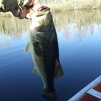 erick.chambers.31 avatar