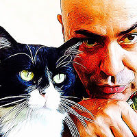 vitorbarcelos avatar