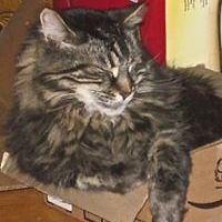 jane-barnes-54390 avatar