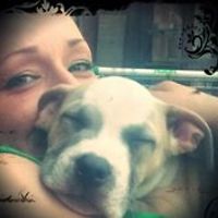 andrew.brackell avatar