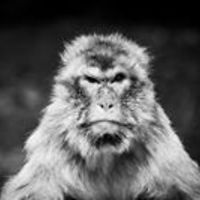 serhat.cinar.52 avatar