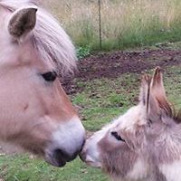 stephanie.mcleod avatar