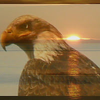 phillennstrom avatar