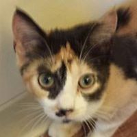 adina.montgomery.9 avatar