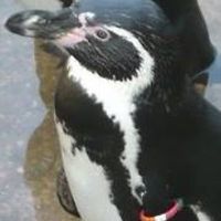 vicky.metcalfe.9 avatar