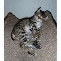 twentyfourtoes avatar