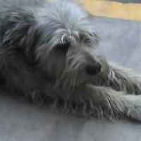 Andrearojas12 avatar