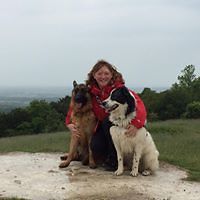 sue.knowles.7549 avatar