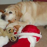 deborah.booth.54 avatar