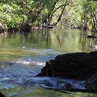 debbie.gravener avatar