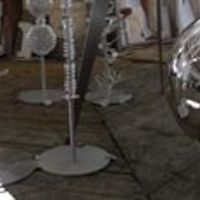 camelia-neagucogalniceanu avatar