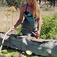 macklingardens avatar