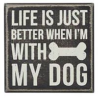 pedro.marticorena.7 avatar