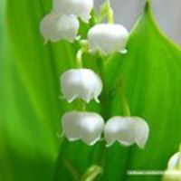 marie.christine.925 avatar