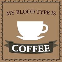 baderalrayyes avatar