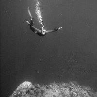 daniel.michahelles.9 avatar