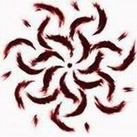 janos-nagy-505 avatar