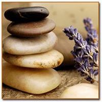 lora.nonchevatabakova avatar