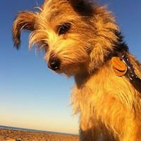 maribel.tapia.73 avatar