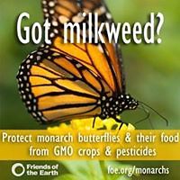 sue-donim-144 avatar